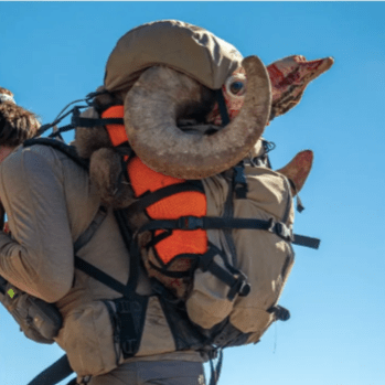 The Game Shaper – Heavy Duty Orange Game Carrier - TeamEasties
