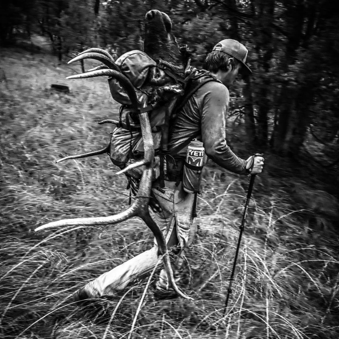 SHOK Carbon/Aluminum Hybrid Trekking Poles - TeamEasties
